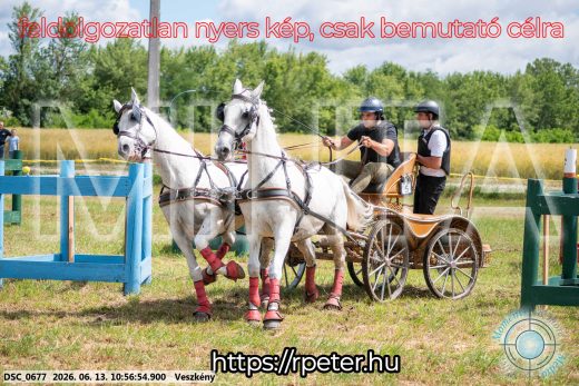 Mintakép 20260613-304
