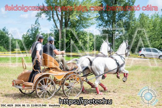 Mintakép 20260613-323