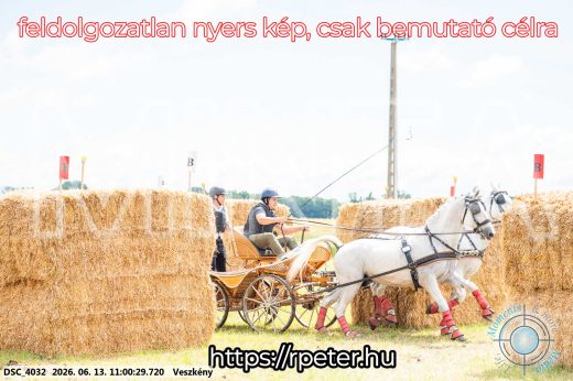 Mintakép 20260613-329