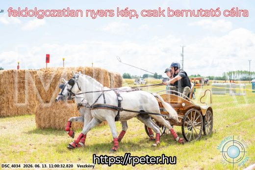 Mintakép 20260613-333