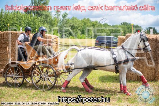 Mintakép 20260613-337