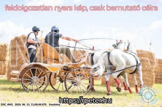 Mintakép 20260613-484