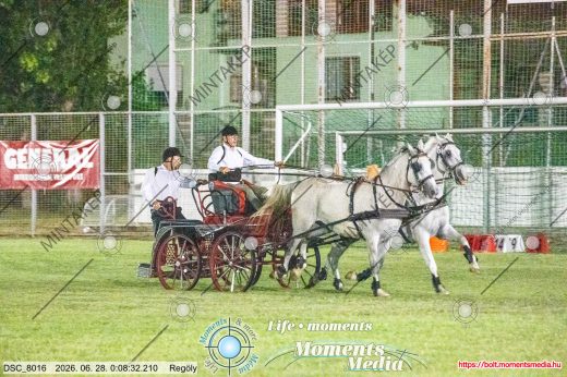 Mintakép 20260628-305