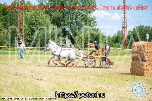 Mintakép 20260613-489