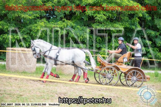 Mintakép 20260613-493