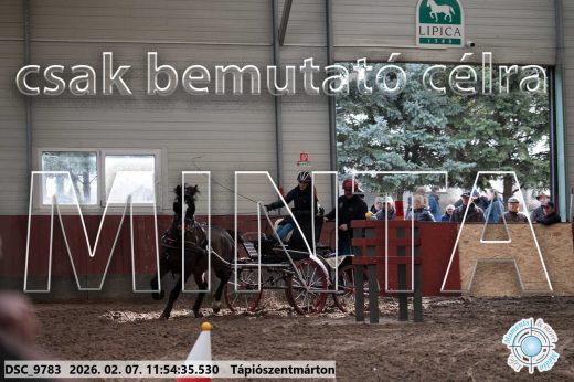 Mintakép 20260207-4