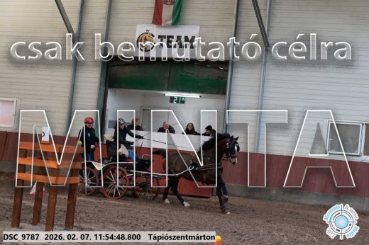 Mintakép 20260207-7
