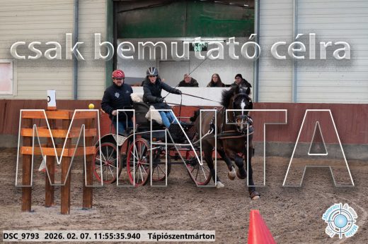 Mintakép 20260207-11