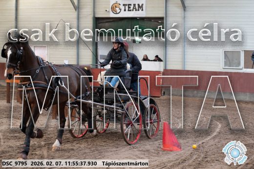 Mintakép 20260207-13