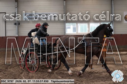 Mintakép 20260207-15
