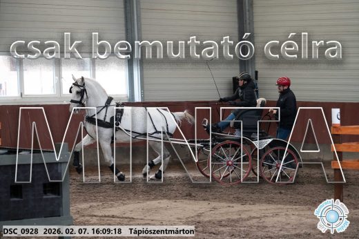 Mintakép 20260207-17