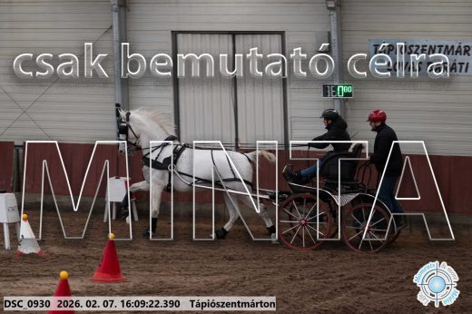 Mintakép 20260207-18