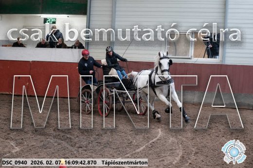 Mintakép 20260207-26