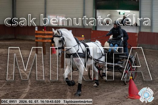 Mintakép 20260207-36