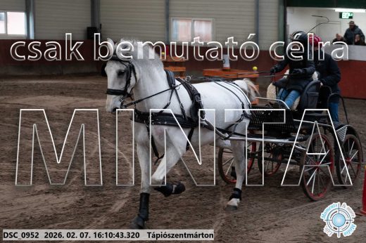 Mintakép 20260207-37