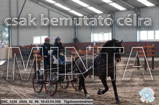 Mintakép 20260208-3