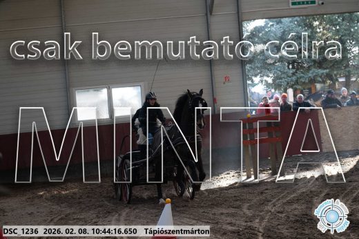 Mintakép 20260208-7
