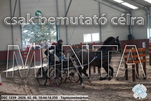 Mintakép 20260208-9