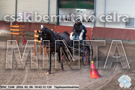 Mintakép 20260208-15