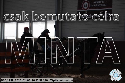 Mintakép 20260208-19