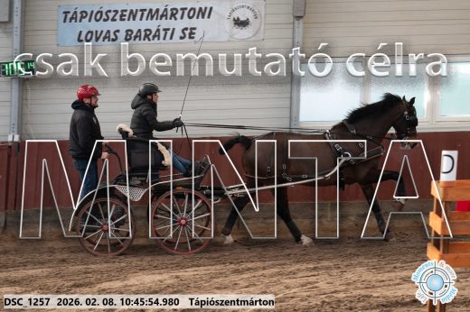 Mintakép 20260208-22