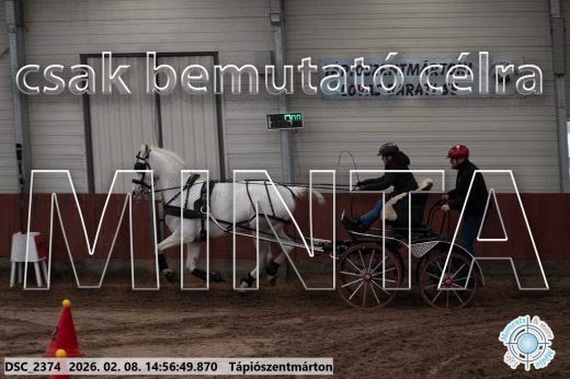 Mintakép 20260208-24