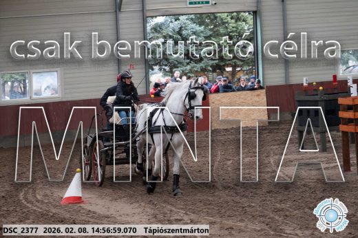 Mintakép 20260208-27