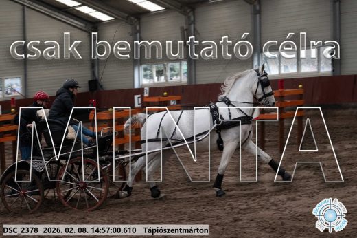 Mintakép 20260208-28