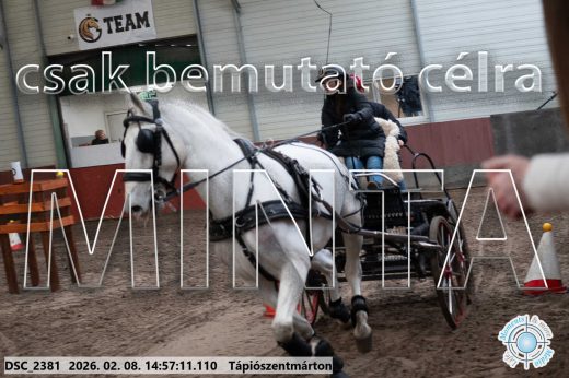 Mintakép 20260208-31