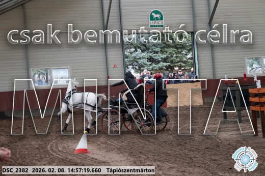 Mintakép 20260208-32