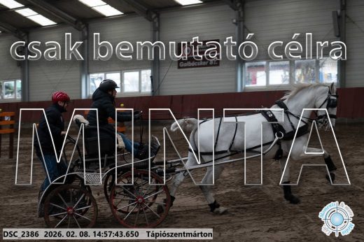 Mintakép 20260208-34