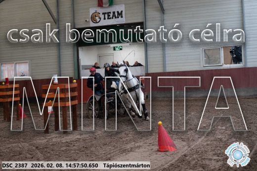 Mintakép 20260208-35