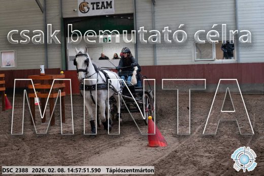 Mintakép 20260208-36