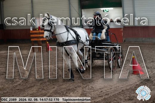 Mintakép 20260208-37