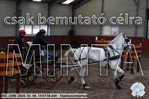Mintakép 20260208-38