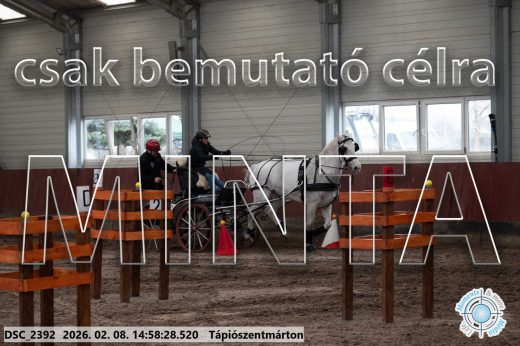 Mintakép 20260208-40
