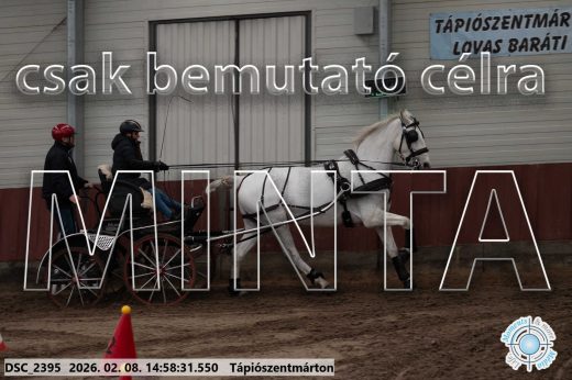 Mintakép 20260208-43
