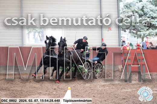 Mintakép 20260207-48