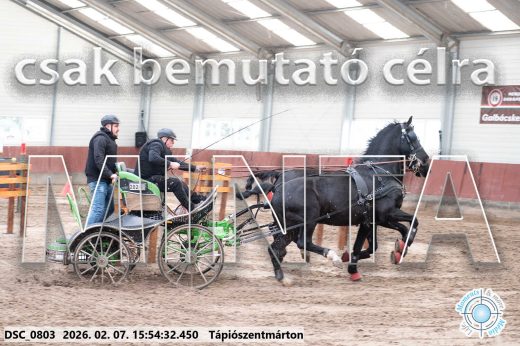 Mintakép 20260207-49