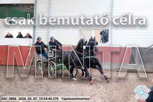 Mintakép 20260207-52