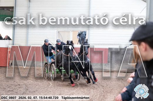 Mintakép 20260207-53