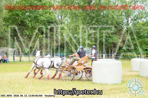 Mintakép 20260613-503