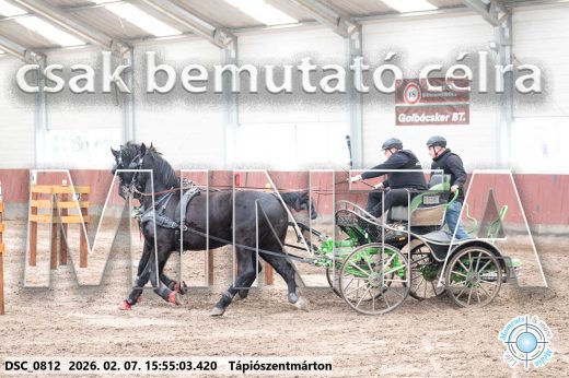 Mintakép 20260207-58