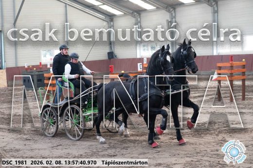 Mintakép 20260208-45