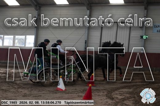 Mintakép 20260208-49