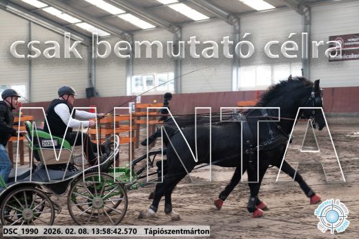 Mintakép 20260208-54
