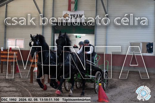 Mintakép 20260208-55