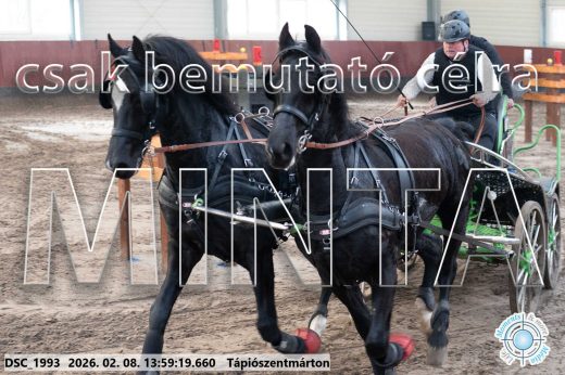 Mintakép 20260208-56