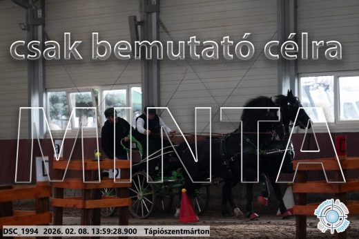 Mintakép 20260208-57