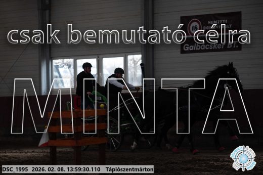 Mintakép 20260208-58